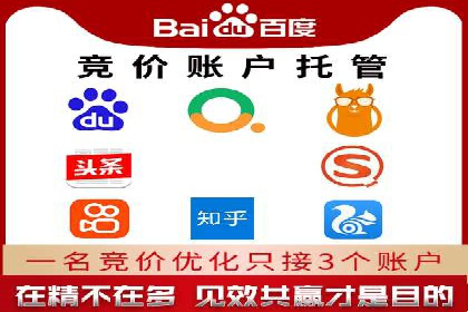 SEM网络推广案例：打造行业影响力品牌
